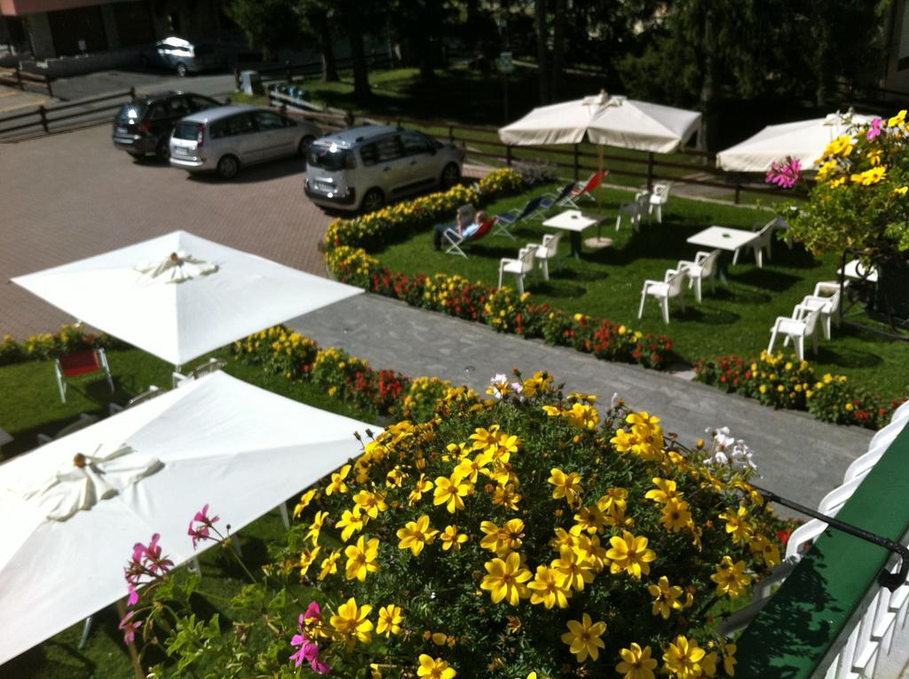 Hotel Ginepro 3*