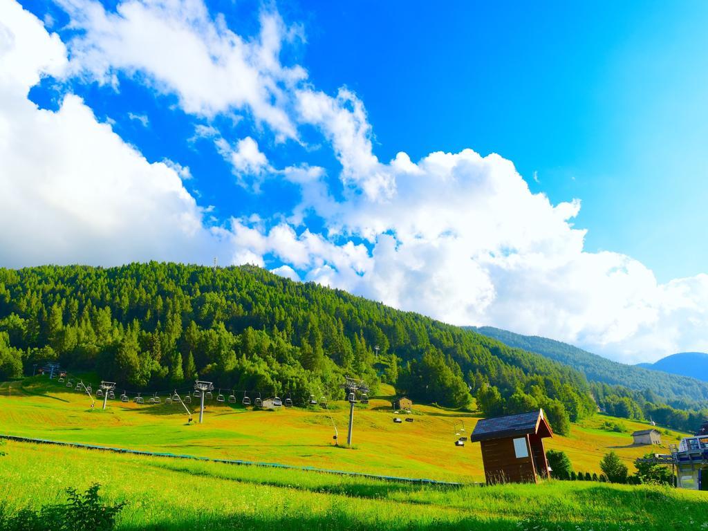 Ginepro Aprica