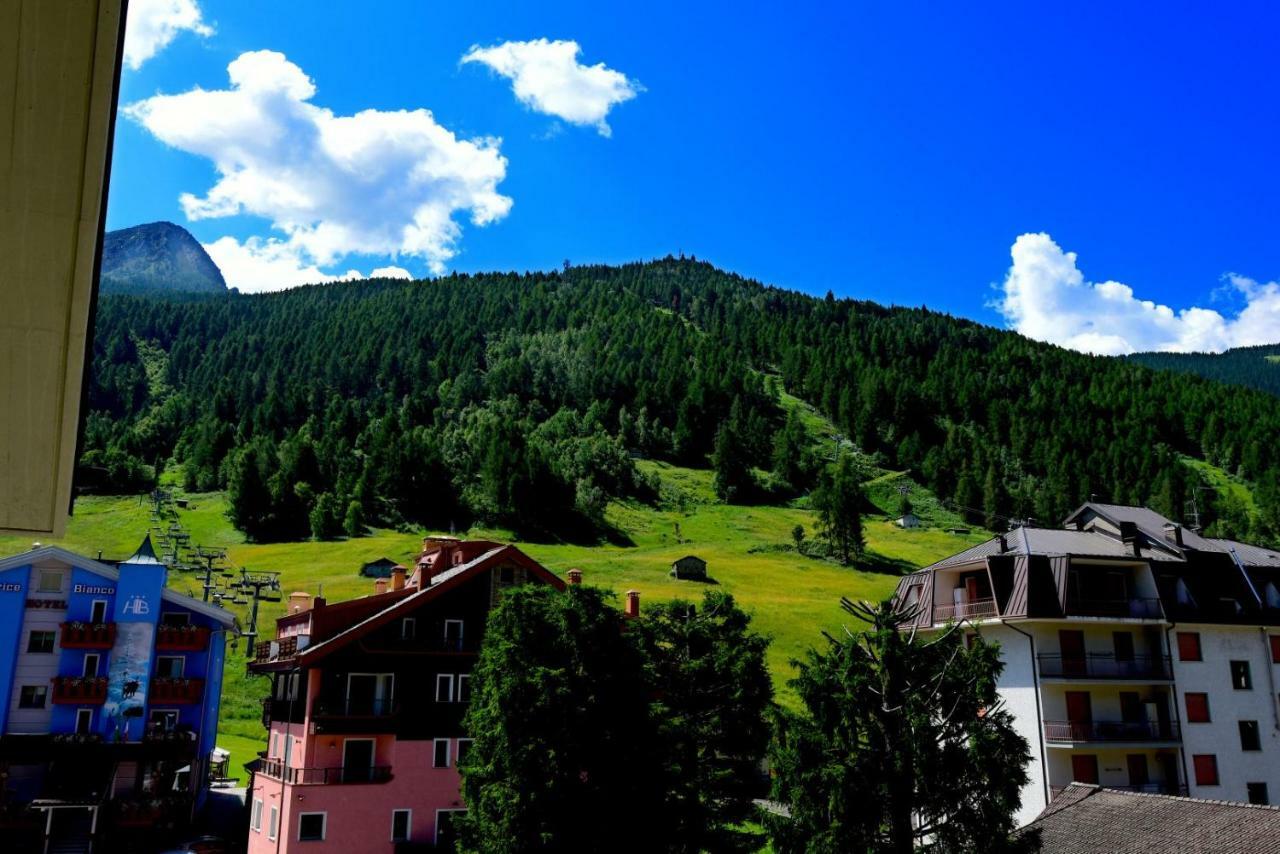 Ginepro Aprica